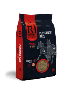 PUISSANCE RACE R-200